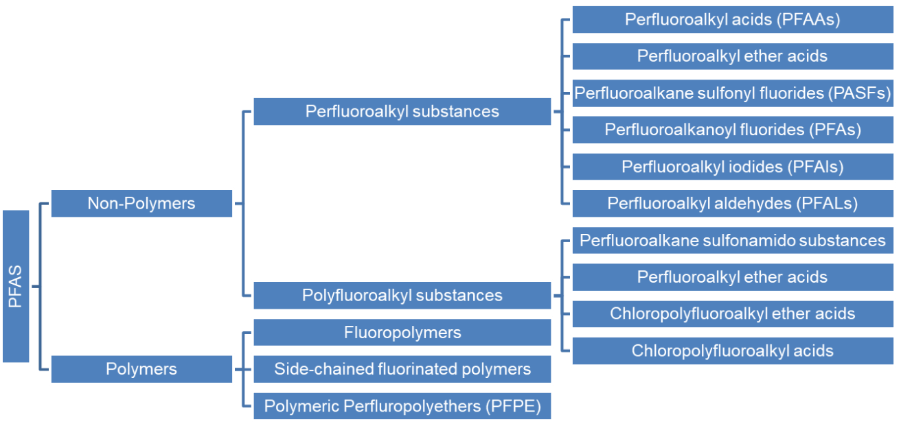 Classification of PFAS Section
